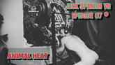[Gay] Animal Heat VR porn video from Jack Spanish VR