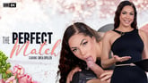 [Trans] The Perfect Match VR porn video from VRB Trans