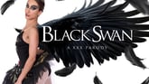 Black Swan A XXX Parody VR porn video from VRCosplayX