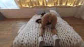 Busty and throbbing down there VR porn video from StasyQ VR