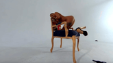 The best babe you can watch VR porn video from StasyQ VR