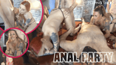 Tilly and Gigi Anal Party 1 VR porn video from Peeping Thom