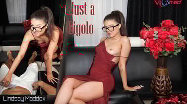 Lindsay Maddox - Just A Gigolo VR porn video from VRoomed studio