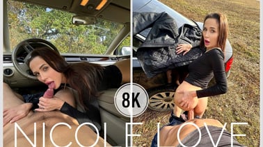 On A Trip With Sexy Nicole VR porn video from PS-Porn studio