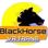 BlackHorse VR Trans VR porn