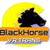 BlackHorse VR Trans VR porn